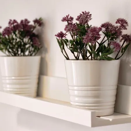 Apartamento La Vela Rovinj