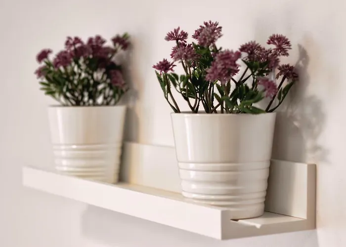 Διαμέρισμα La Vela Ρόβινι