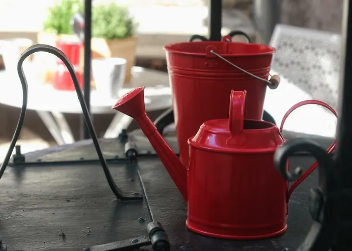 La Vela Ρόβινι